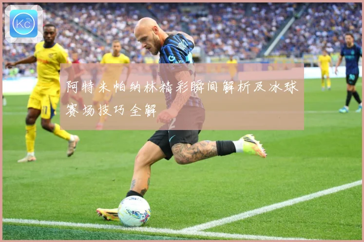 阿特米帕纳林精彩瞬间解析及冰球赛场技巧全解