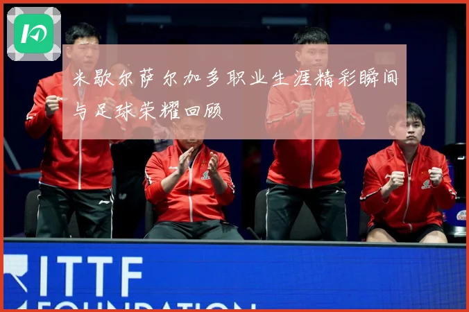 米歇尔萨尔加多职业生涯精彩瞬间与足球荣耀回顾