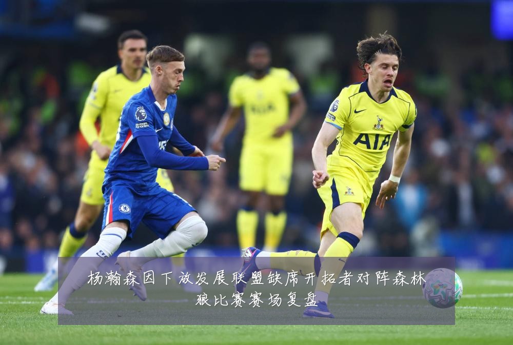 杨瀚森因下放发展联盟缺席开拓者对阵森林狼比赛赛场复盘